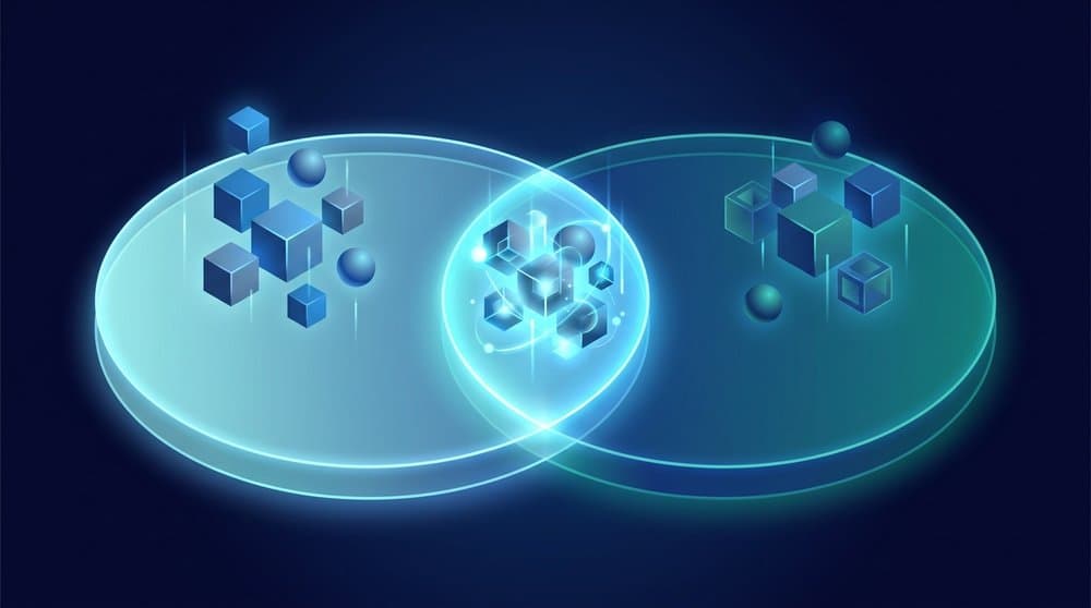 Isometric illustration representing a Python set as two overlapping Venn-style platforms holding unique cube and sphere elements with a shared intersection