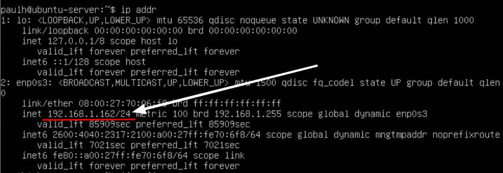 ubuntu server ip addr