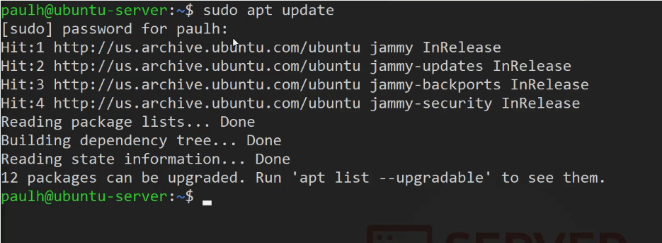 ubuntu server sudo apt update