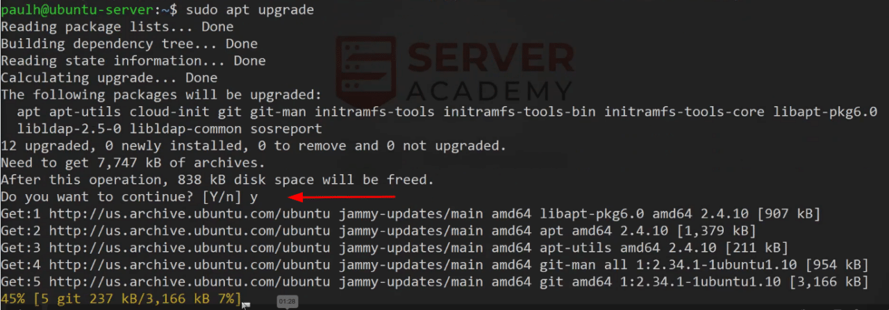 ubuntu server sudo apt upgrade