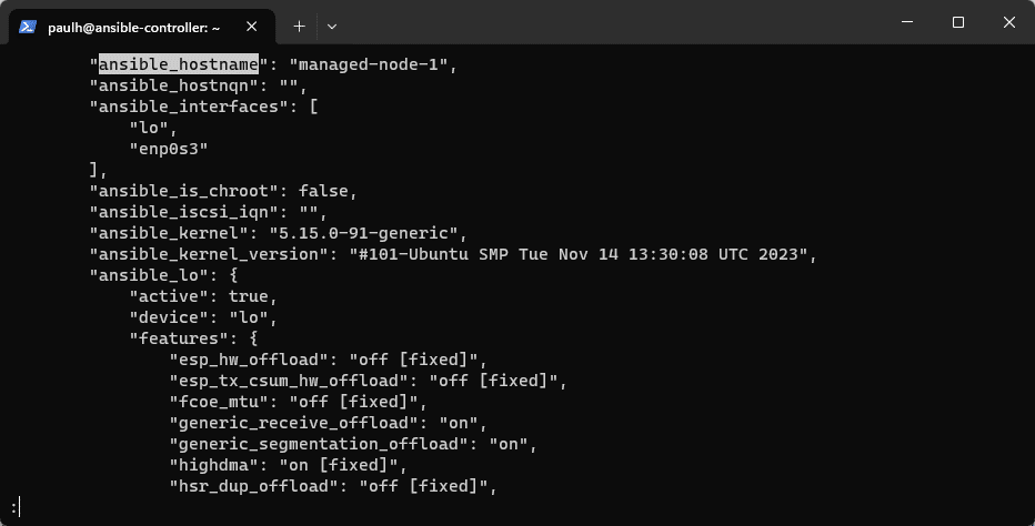 Searching Ansible Facts with the Less Utility