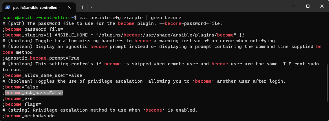 Ansible Config Become Ask Password Setting